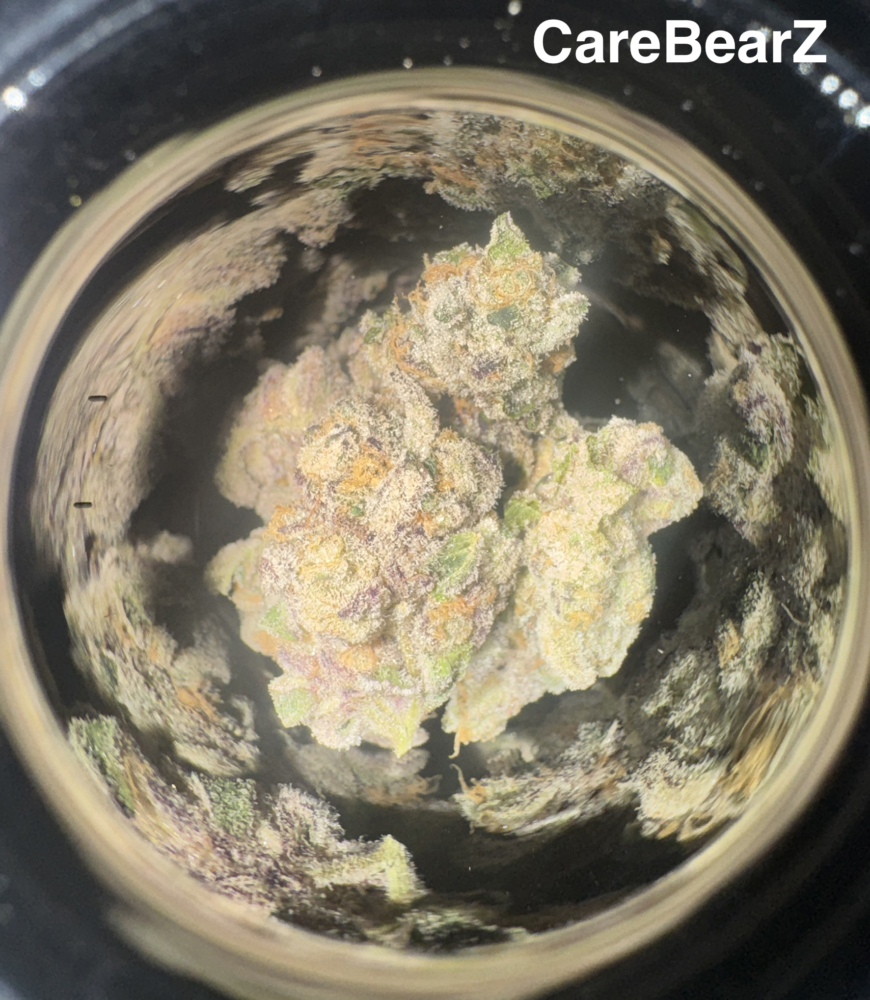 CAREBEARZ