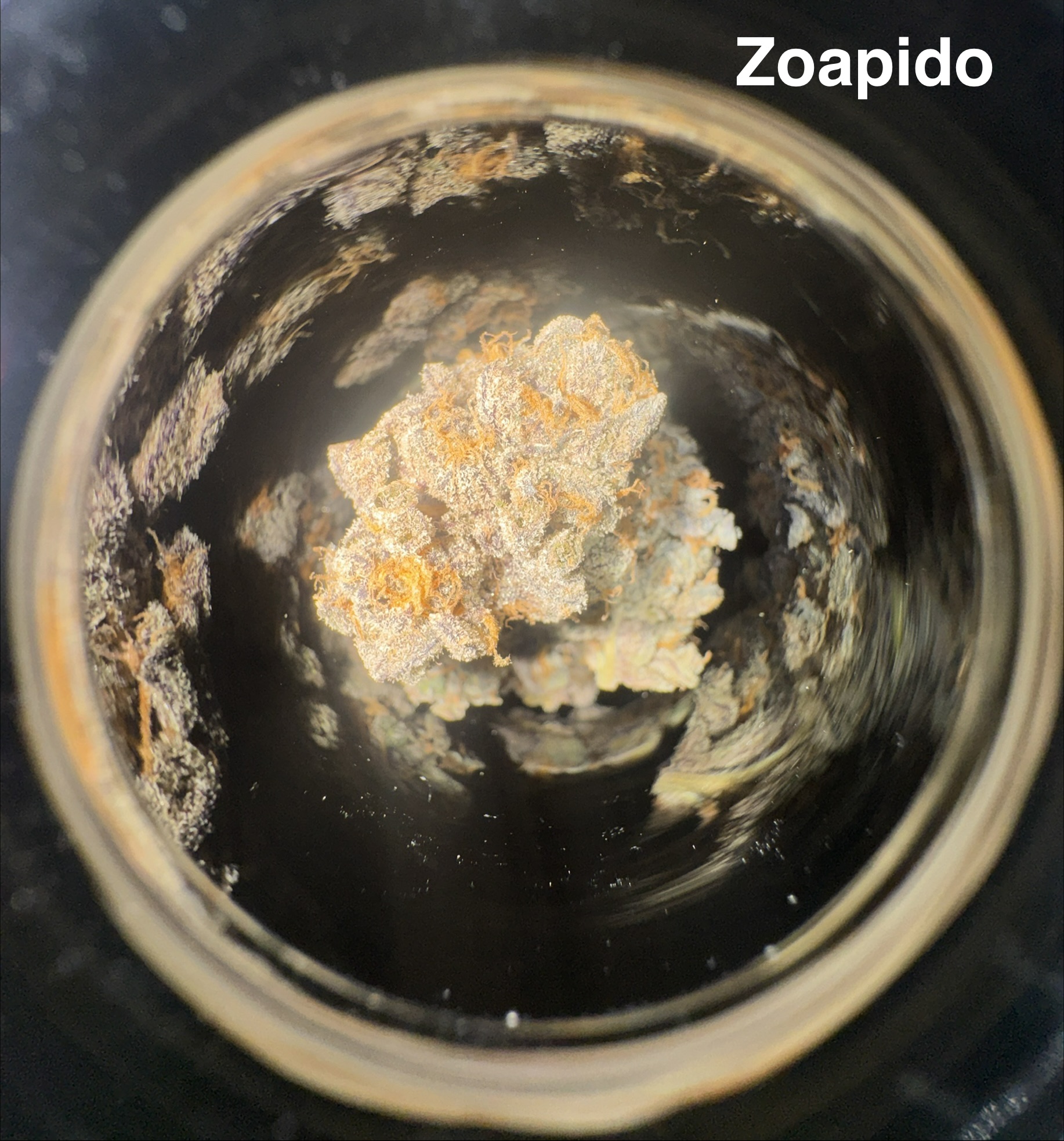 ZOAPIDO