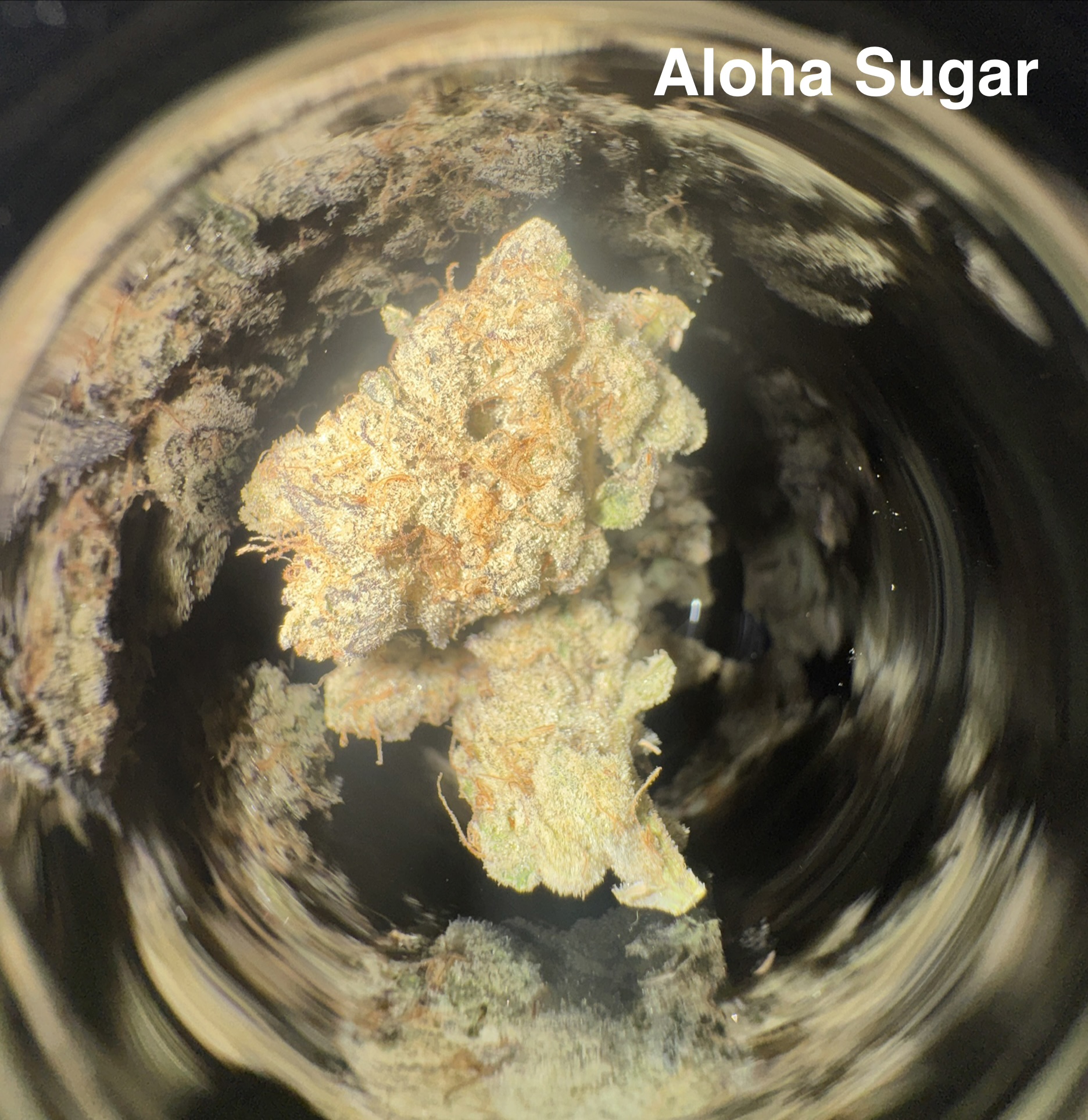 ALOHA SUGAR